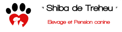 Shiba de Treheu — Élevage et Pension canine